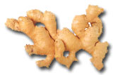 Ginger
